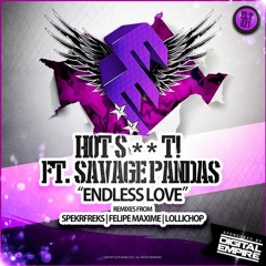 Hot Shit! ft. Savage Pandas - Endless Love (Felipe Maxime Remix)