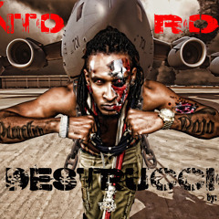 Dany Punto Rojo   La Destruccion