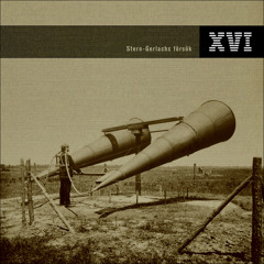 Erik XVI - Gravitationskraftens stilla stråkar