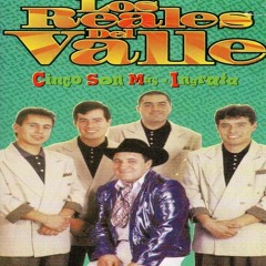 LOS REALES DEL VALLE - carreton de bronco