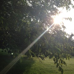 Want You Gone - End Credit song from Portal 2