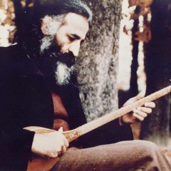 Mohammad Reza Lotfi