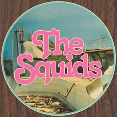 THE SQUIDS - "Twiddler"