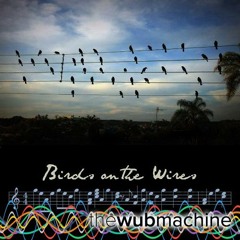 Birds On the Wires (Wub Machine Remix)