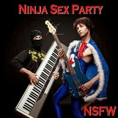 Ninja Sex Party - If We Were Gay.mp3