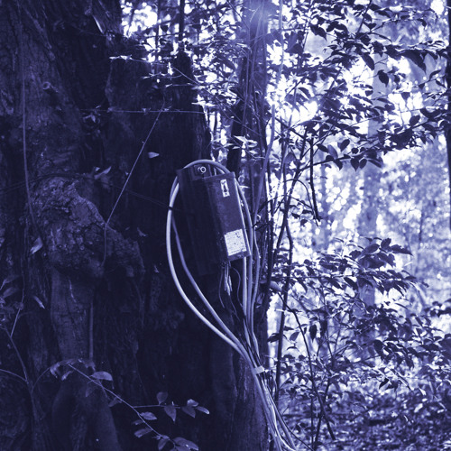 Roman Poncet - AAD - Deeply Rooted 046