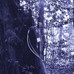 Roman Poncet - Lord - Deeply Rooted 046