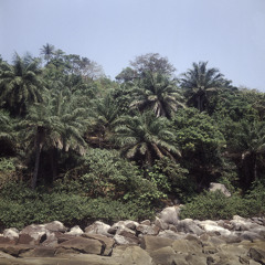 Peer Gynt Goes Africa