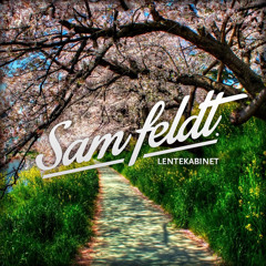 Sam Feldt - Lentekabinet (Mixtape)