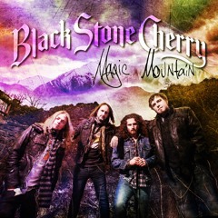 "We are going to keep touring & pumping out great music..." || Black Stone Cherry Interview Pt.2