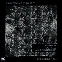 Audiomotor - Riding The WAV (Original Mix) [Black Circus]