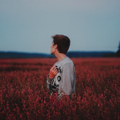 ♫ الموسيقى أحلام بنفسجية وسحابات وحاجات كتير  ♪