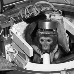 Space Monkey Loves The Music On His Space Ship