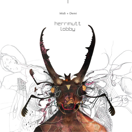 Herrmutt Lobby - Shellfish
