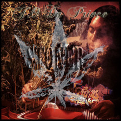 Stoner (Treestyle) **OFFICIAL VIDEO on youtube.com/JOJODNB