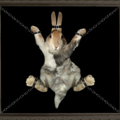 [5.3.2014] Cyreal @ Electric Poncho, MX