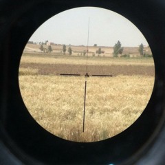 Gunshot reggue