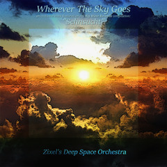 ZDSO - Wherever The Sky Goes