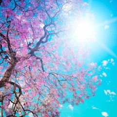Breathe