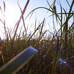 John Newman - Love Me Again (VMadjor & Mr. Kyle Bootleg)