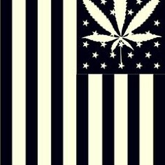 Garrett Dicksøn's Fuck School Smoke Weed MegaMix