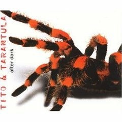 Tito & Tarantula - After Dark (Noah´s from Dusk till Dawn Remix)