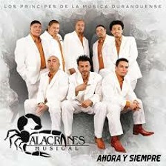 Alacranes - Musical - Puro - Tamborazo - Alacranero