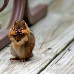 Shyrren5 - Sweetest Sin (Full Version)