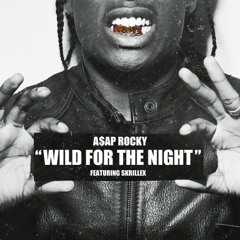 Asap Rocky ft. Skrillex - Wild For The Night (CHR!LZ Remix)(Sample)