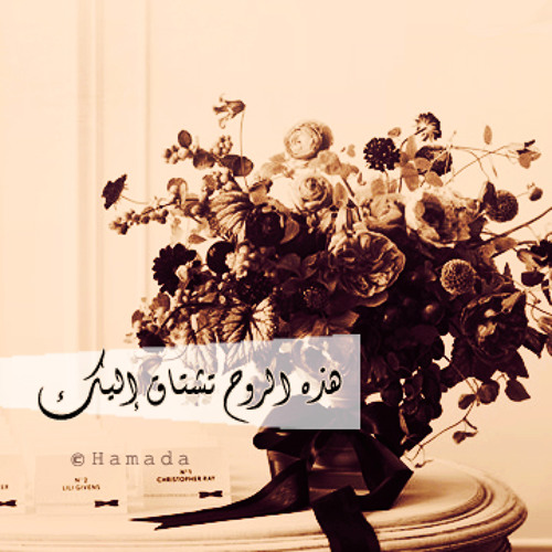 Basma Jaber - Hazy Elraw7 Tashtaq Elayk  | بسمة جبر - هذه الروح تشتاقُ إليك