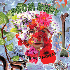 Prom Body - My Paradise (OFFICIAL SINGLE)