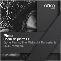 [Neim047] 02 Pinto - Coeur de pierre (Gene Farris rerub dub mix)