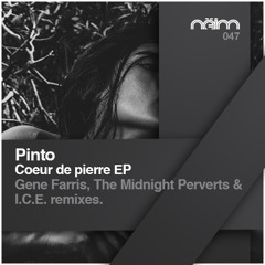 [Neim047] 01 Pinto - Coeur de pierre (Original mix)