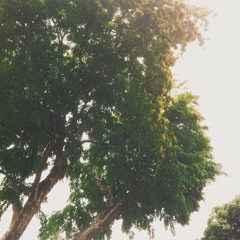 passenger // let her go (cover)