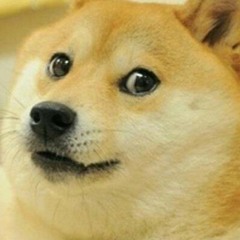 Slappppppppppppppppppppppppppp