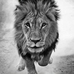 Una Pista Una Vida - Bichomc.Pro - La Crew Studios