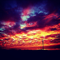 Cannonball/Freefall/49ers with Reed