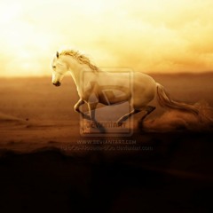 Antonia feat. Jay Sean - Wild Horses