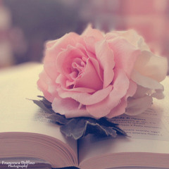 Hanya Cinta Yang Bisa - Titi DJ Feat Agnes Monica