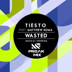 Tiesto ft. Mathew Koma - Wasted (Preak Bootleg)