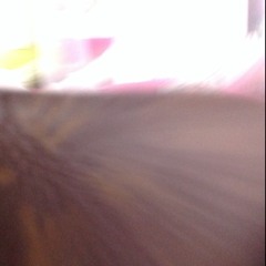 Everybody's Changing