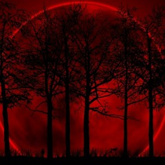 Demons (imagine dragons) acoustic cover