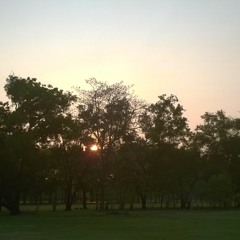 Boom Bap Back with Bruce