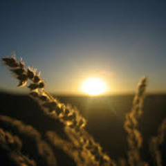 Szesnasty i Rafał M. - Droga