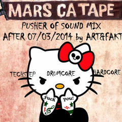 Fanny's Memory Techstep/Drumcore/Hardcore @ ART&FAKT AFTER MARS CA TAPE