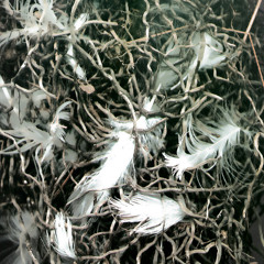 Msza święta w Altonie - Bezkrólewie "Nad grobem" Requiem Records