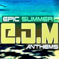 Function Loops - Epic Summer EDM Anthems