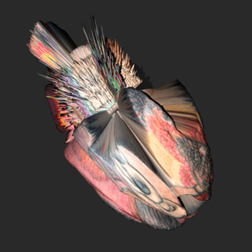 BitRate: AB & JAXX 35 3 4 15secs