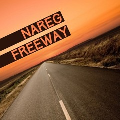 Nareg - freeway ( original mix )