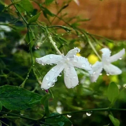 ستفرج إن شاء الله ...